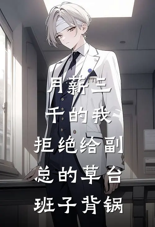 月薪三千的我，拒绝给副总的草台班子背锅